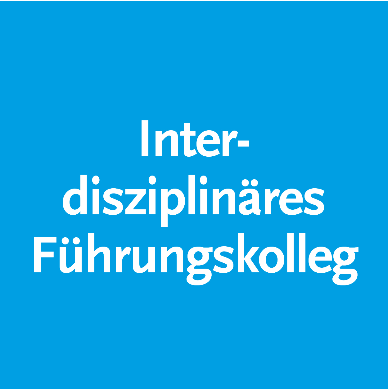 Interdisziplinäres Führungskolleg